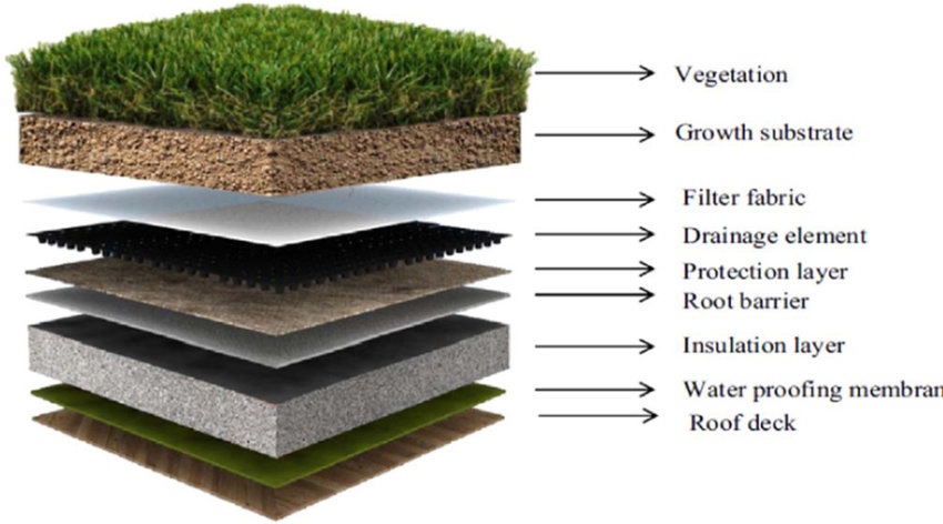 components of green roof 25