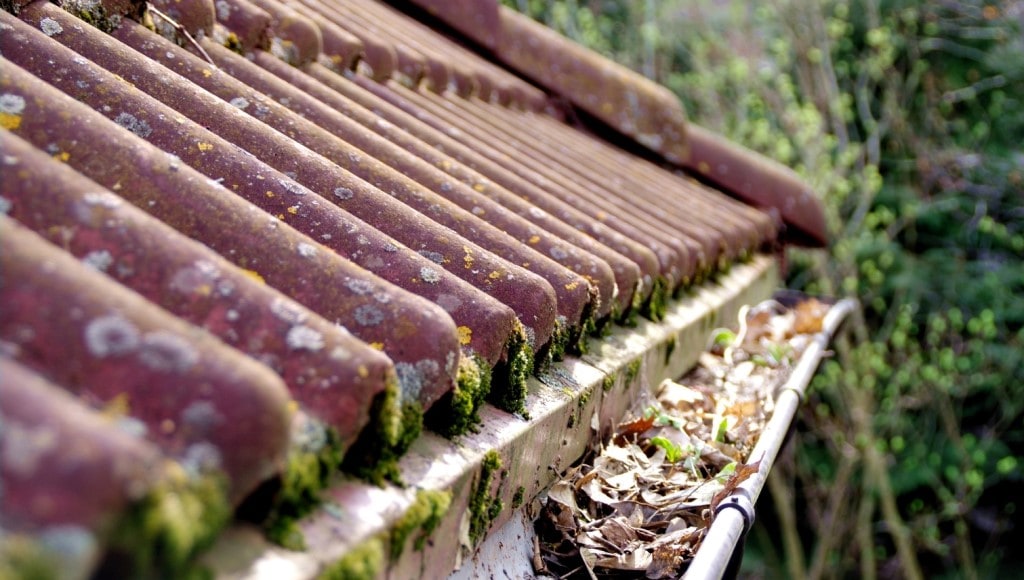 Dirty Roof Gutter