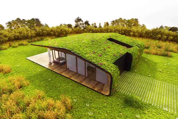 green roof3