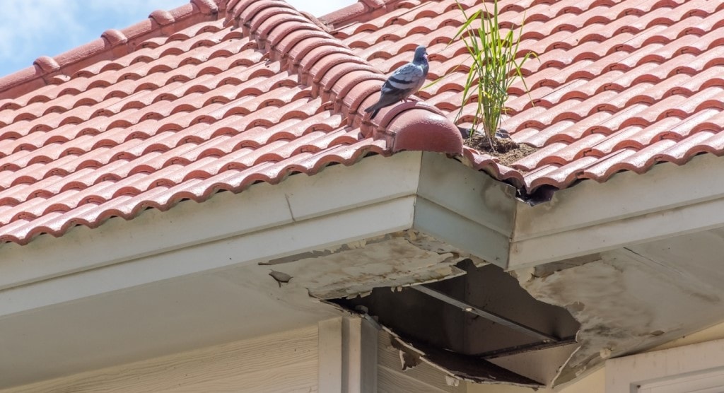 Hole In Roof