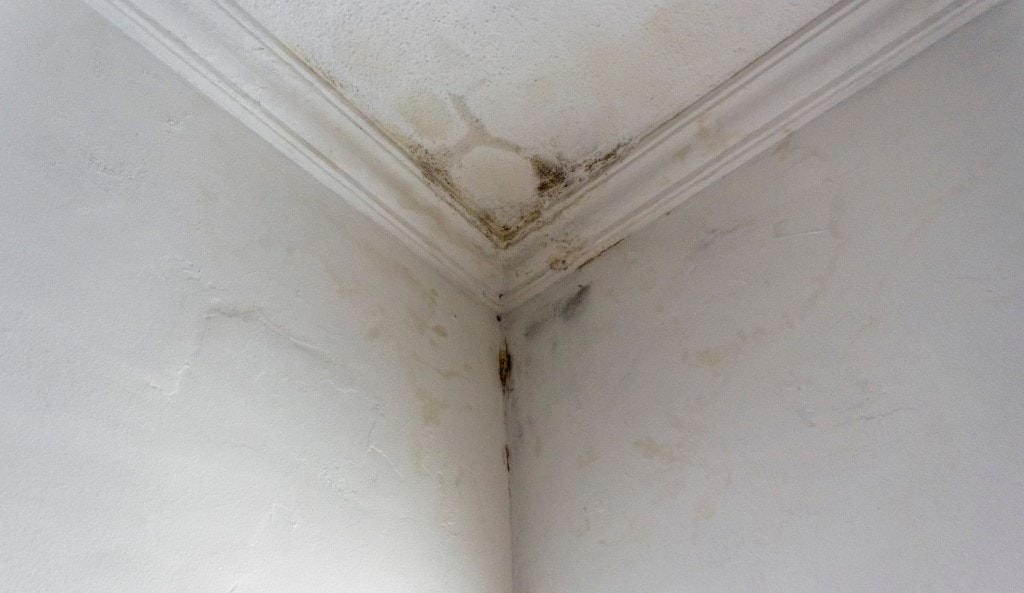 Signs Of Roof Leak