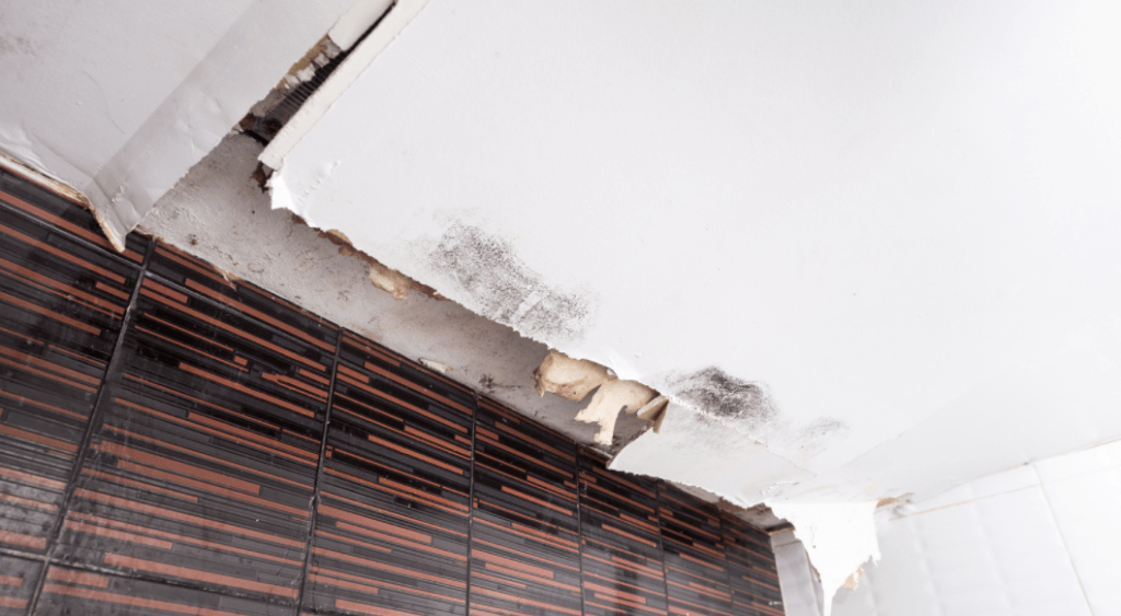 Will A Roof Leak Cause Mould?